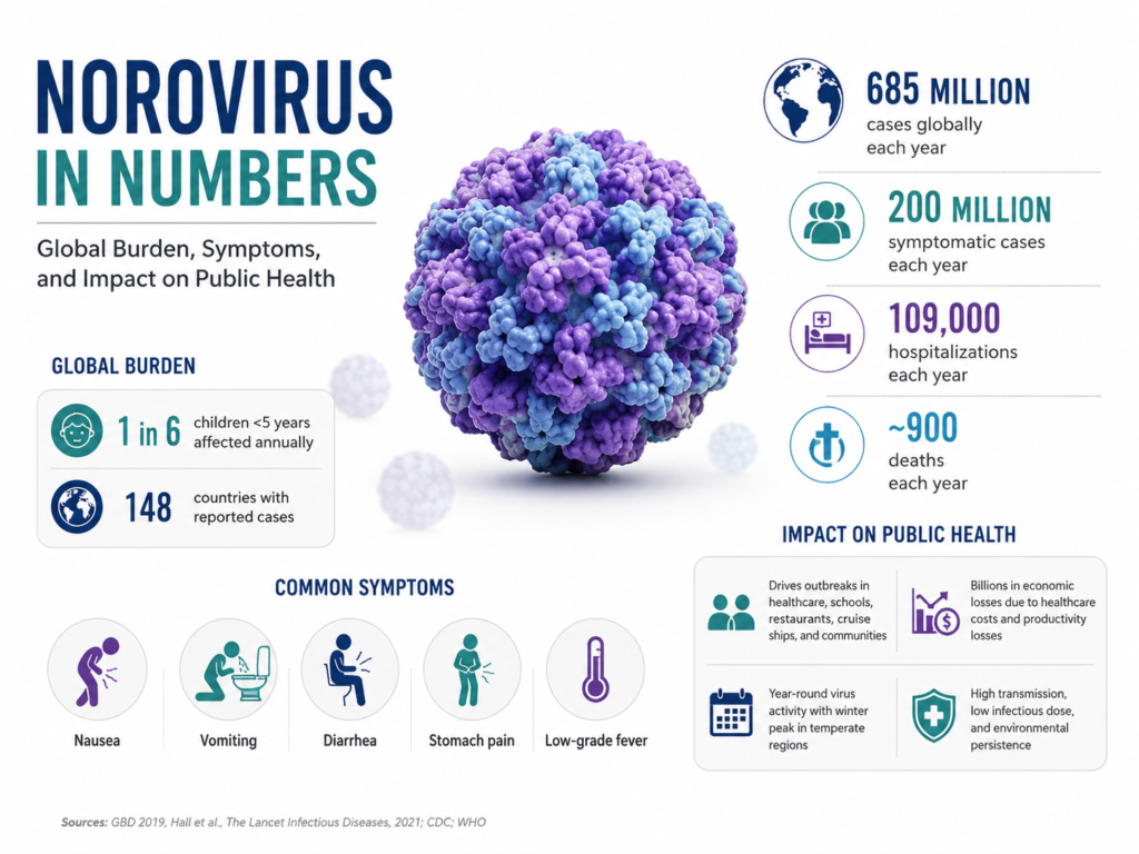 Medical infographic about norovirus showing global burden statistics, symptoms, hospitalizations, deaths, and public health impact with a 3D norovirus particle on a clean white background.