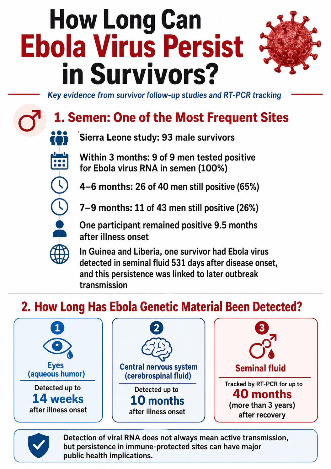 Infographic explaining Ebola virus persistence in survivors, showing semen positivity in 93 male survivors, detection up to 14 weeks in the eye, 10 months in cerebrospinal fluid, and 40 months in seminal fluid.