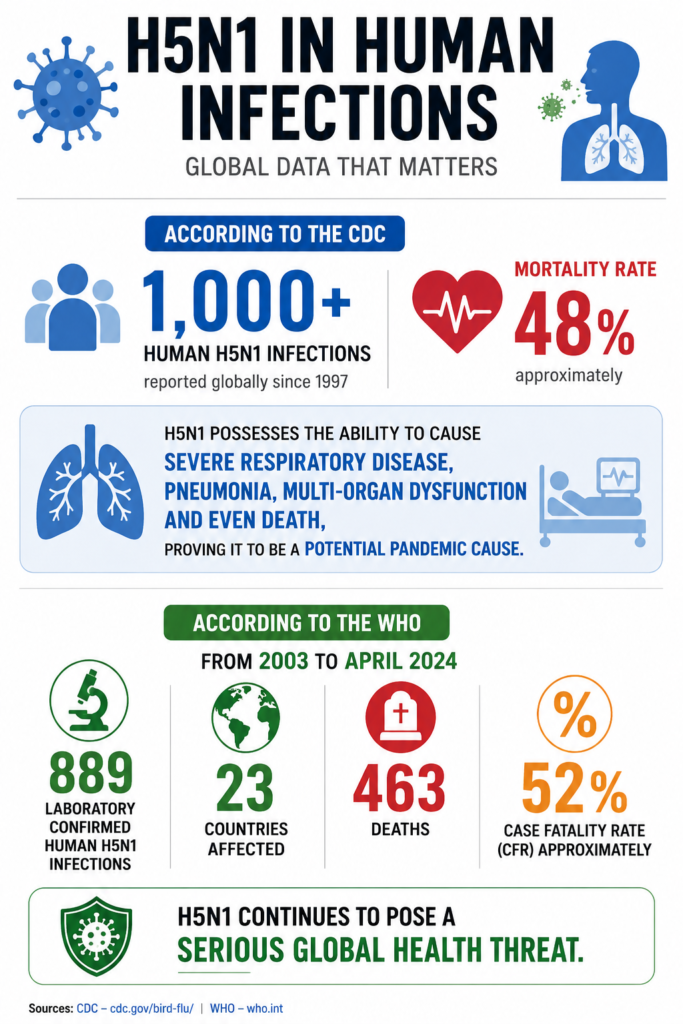 Infographic showing global human H5N1 bird flu statistics, including over 1,000 reported infections since 1997, approximately 48% mortality rate, 889 laboratory-confirmed cases, 463 deaths, and a 52% case fatality rate across 23 countries from 2003 to April 2024.