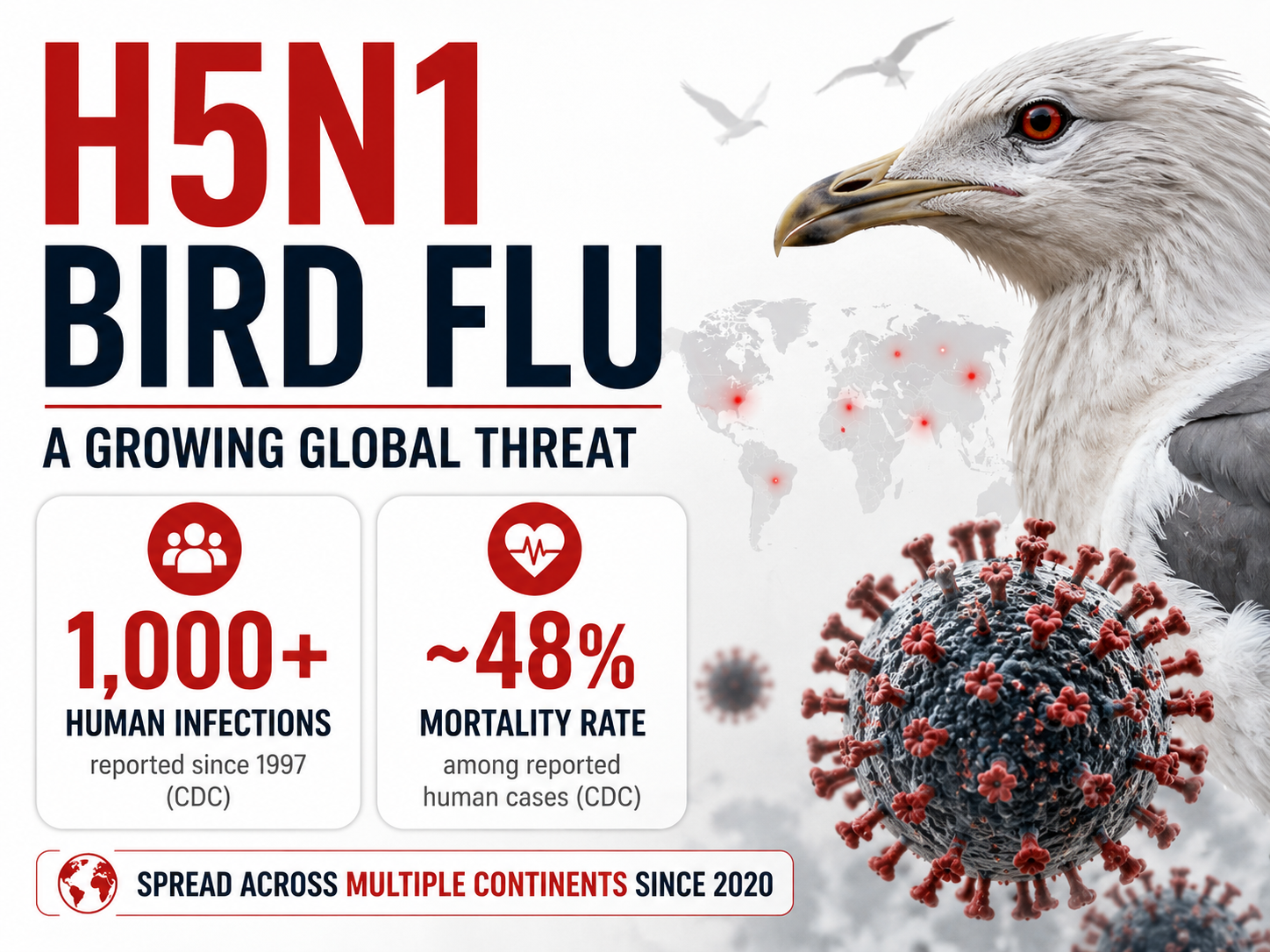 Featured image showing H5N1 bird flu as a growing global threat, with over 1,000 reported human infections since 1997, approximately 48% mortality rate, a world map indicating global spread, and an illustration of a bird alongside the influenza virus.