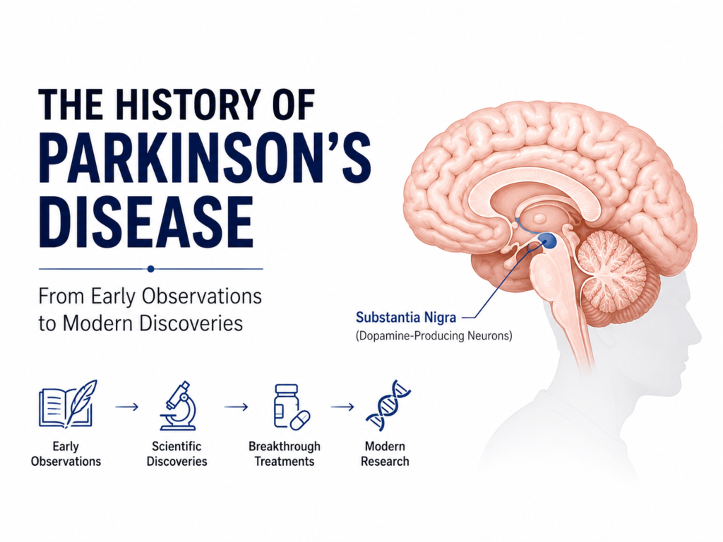 Clean medical illustration featuring a cross-sectional view of the human brain highlighting the substantia nigra, alongside the title "History of Parkinson's Disease" and a simplified timeline representing early observations, scientific discoveries, breakthrough treatments, and modern research.