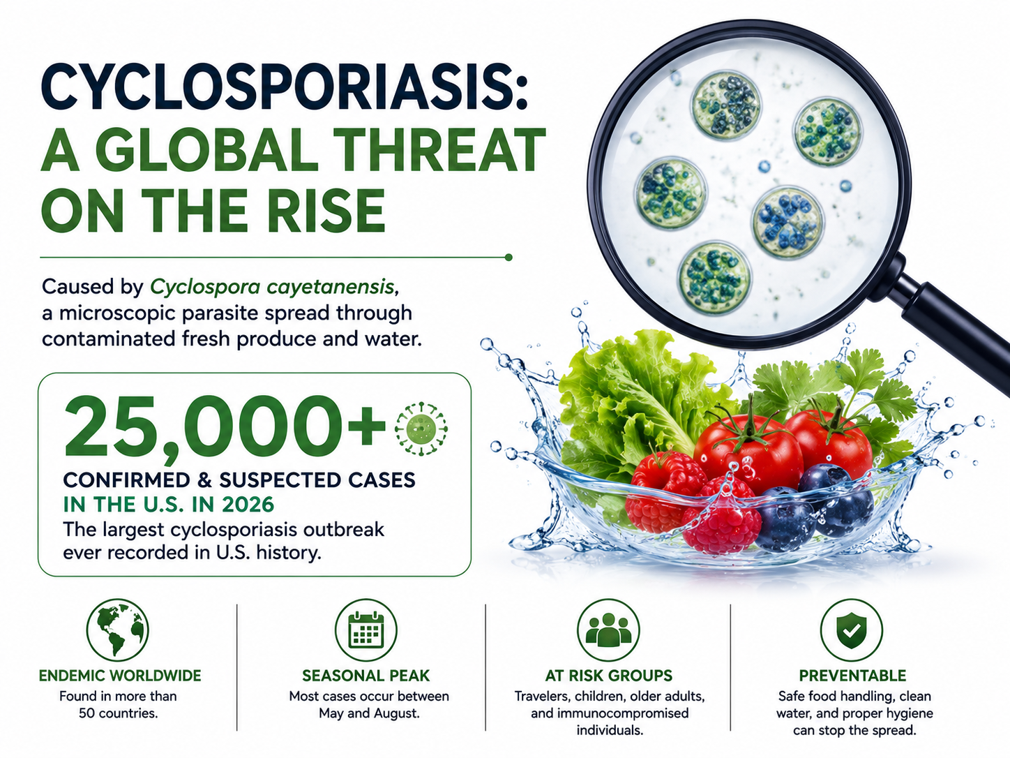 Cyclosporiasis global outbreak infographic showing Cyclospora parasite, contaminated produce and 2026 U.S. outbreak statistics