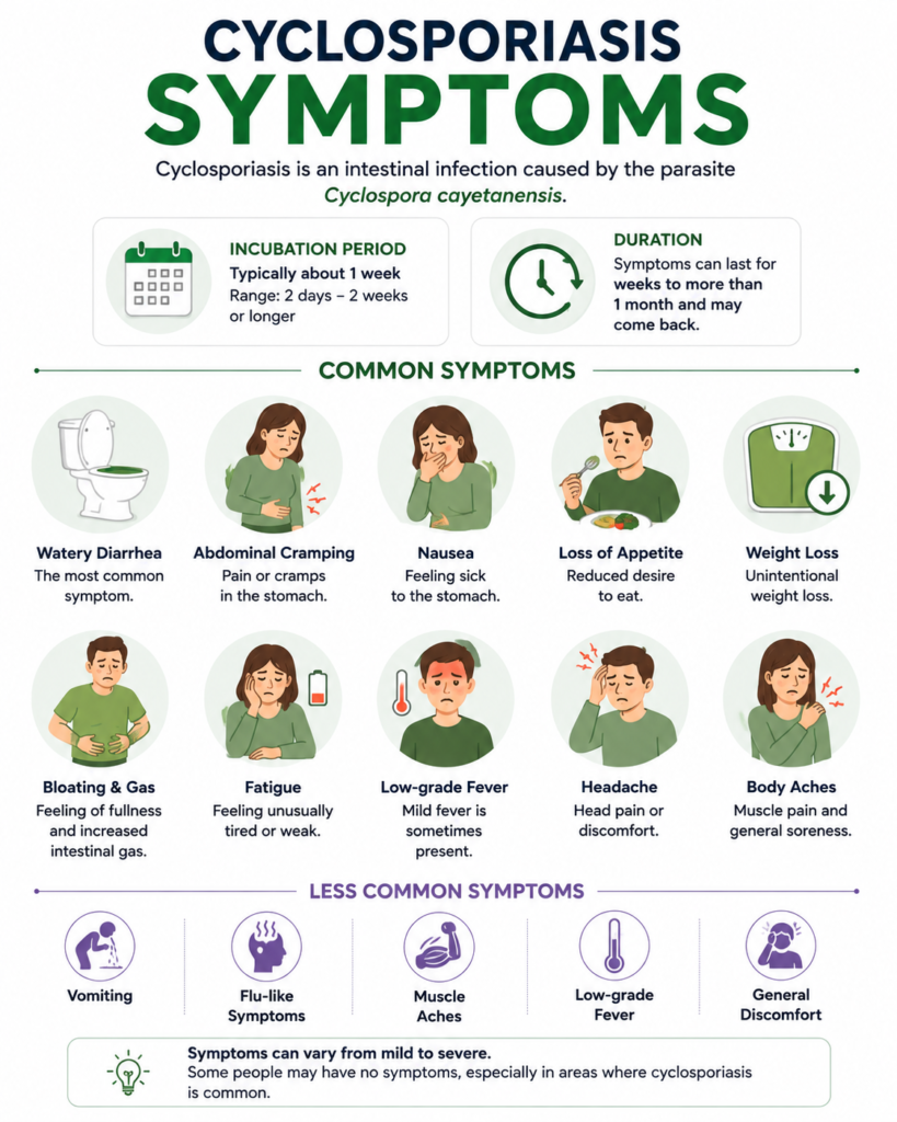 Cyclosporiasis symptoms infographic showing watery diarrhea, abdominal cramps, nausea, weight loss, fatigue, headache, body aches and low-grade fever