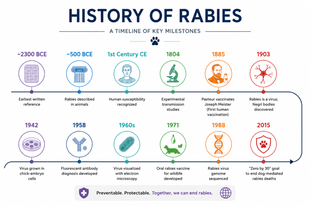 Timeline showing key milestones in the history of rabies from ancient records to Pasteur’s vaccine and modern rabies prevention.