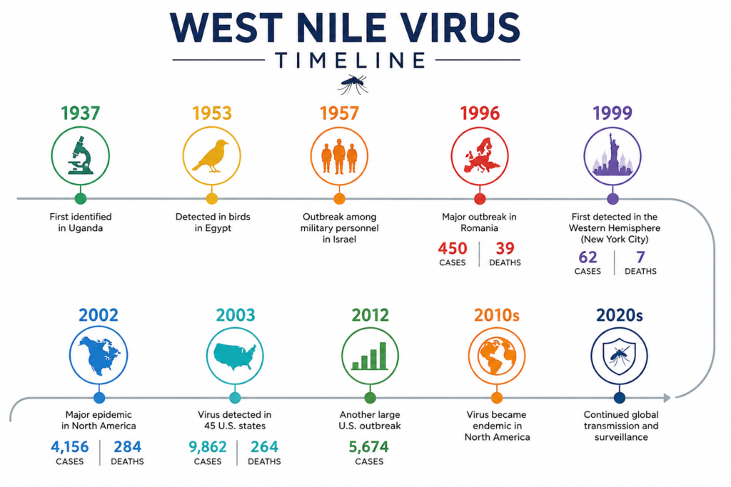 History of West Nile virus timeline from 1937 discovery in Uganda to major outbreaks and global transmission in the 2020s.