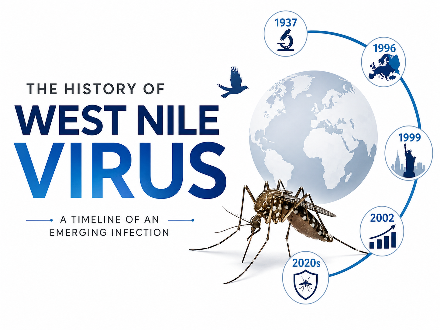 Illustration showing the history of West Nile virus with a mosquito, globe, bird and timeline from 1937 to the 2020s.