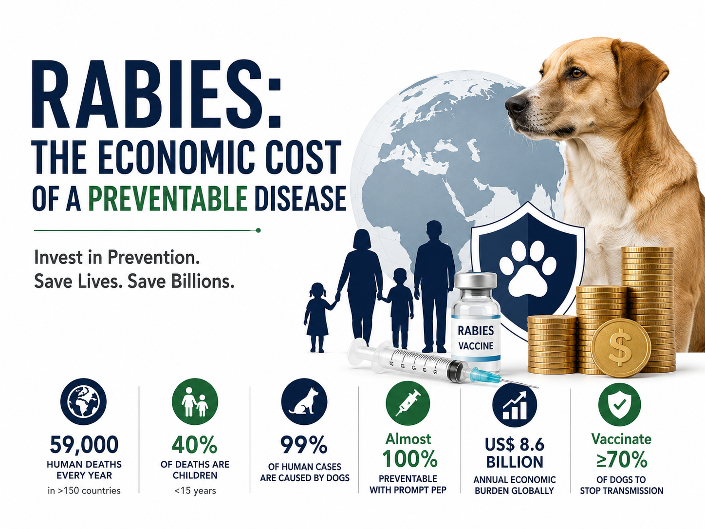 Banner visual showing a dog, vaccine vial, syringe, and stacked gold coins alongside text reading 'Rabies: The Economic Cost of a Preventable Disease.' Icons at the bottom list key facts, including 59,000 human deaths annually and the requirement to vaccinate at least 70% of dogs.