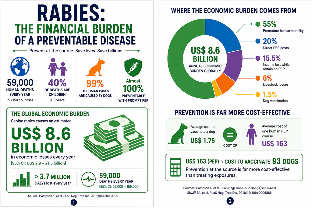 Two-panel infographic titled 'Rabies: The Financial Burden of a Preventable Disease.' Left panel displays global stats including 59,000 annual deaths and an $8.6 billion annual cost. Right panel shows a pie chart of economic burden sources and notes that one $163 human PEP treatment equals the cost of vaccinating 93 dogs.