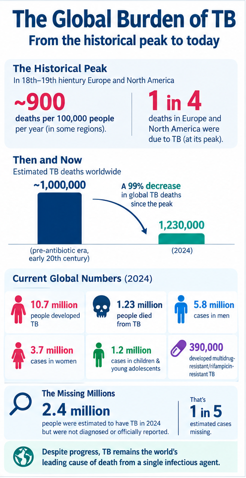 Infographic comparing the historical and current global burden of tuberculosis, showing historical TB mortality, 10.7 million estimated TB cases, 1.23 million deaths, 390,000 drug-resistant cases, and approximately 2.4 million undiagnosed or unreported cases in 2024.