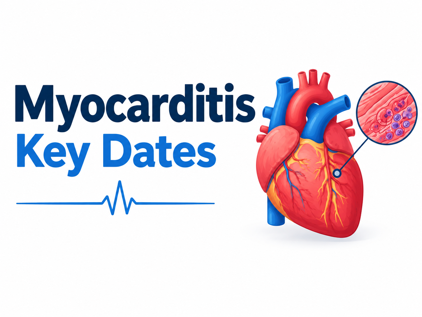 History of myocarditis showing key dates and major milestones in its medical history.