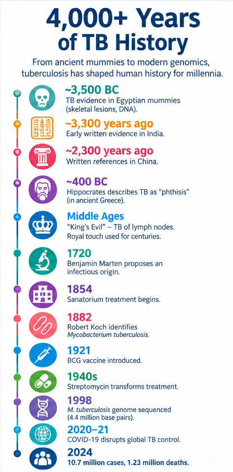 Infographic showing more than 4,000 years of tuberculosis history, from ancient Egyptian evidence around 3500 BC to Robert Koch's 1882 discovery, BCG vaccination in 1921, antibiotic treatment in the 1940s, genome sequencing in 1998, and 10.7 million TB cases in 2024.