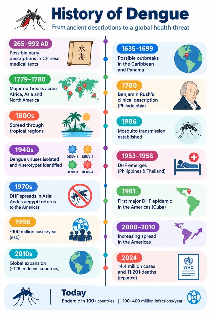 Timeline showing major milestones in the history of dengue from 265–992 AD to 2024.
