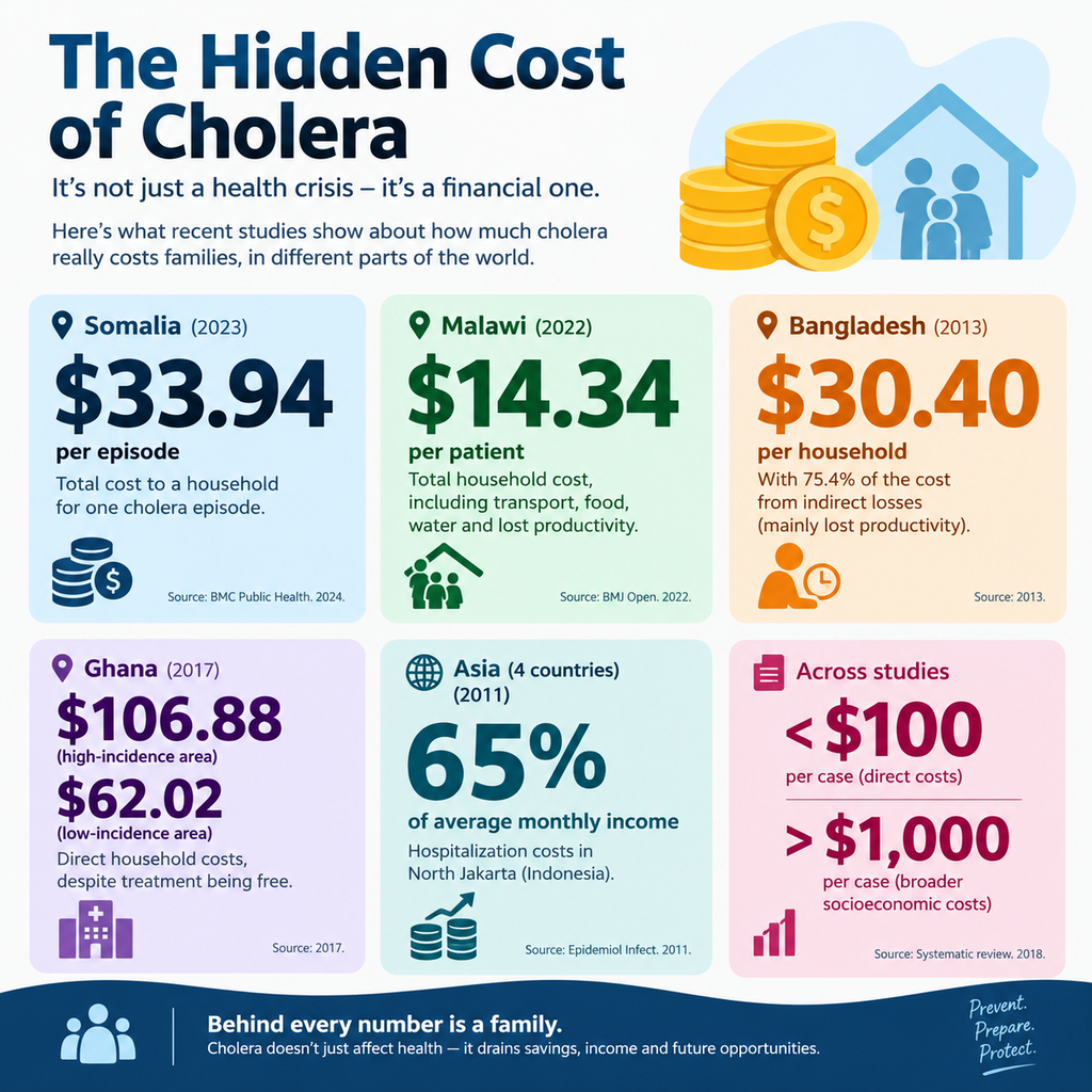 Key numbers showing the hidden household economic cost of cholera